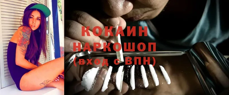 Cocaine FishScale  Приозерск 